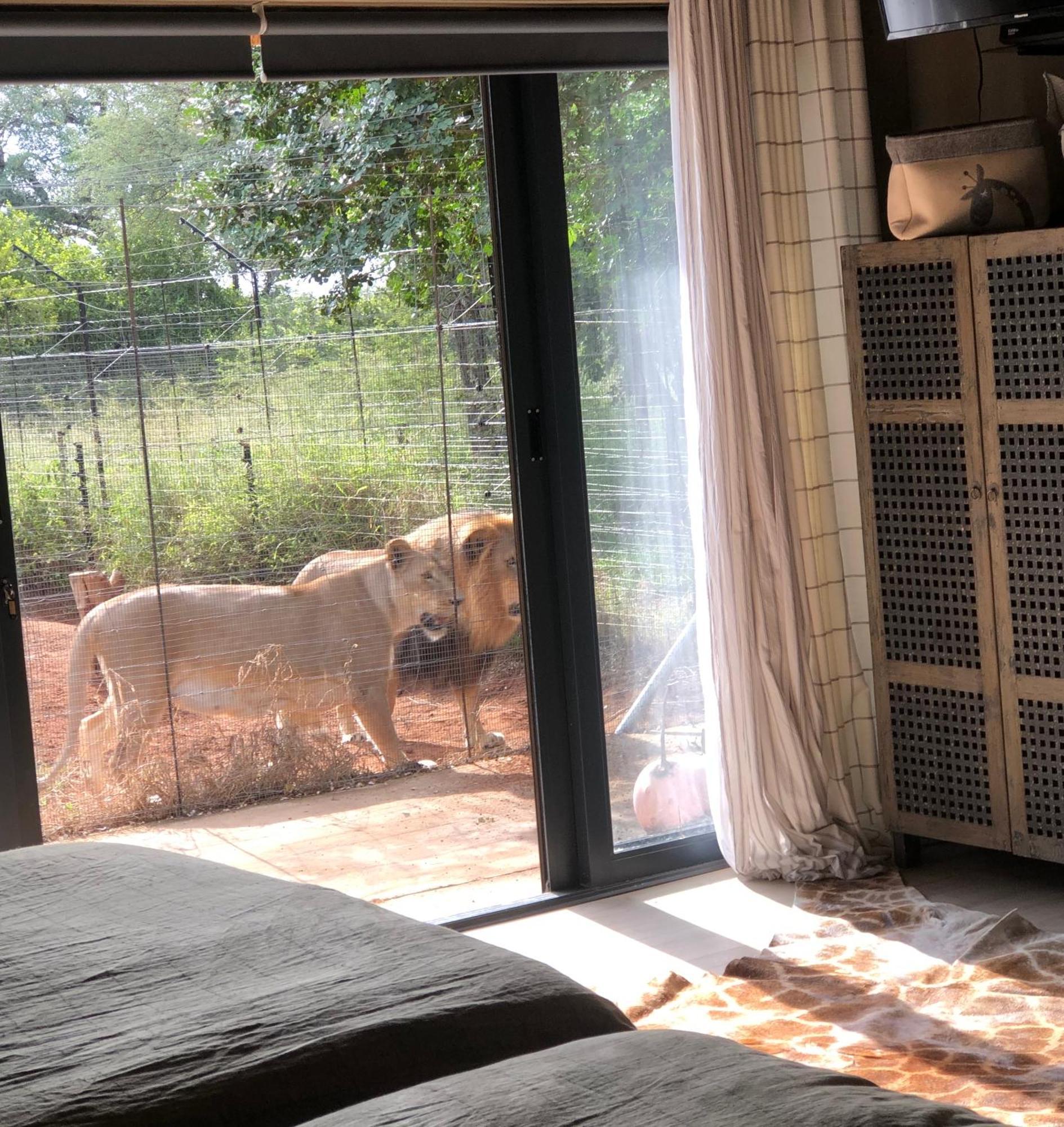 Simba Safaris African Pride Exotic Lodge Lephalale Exterior photo